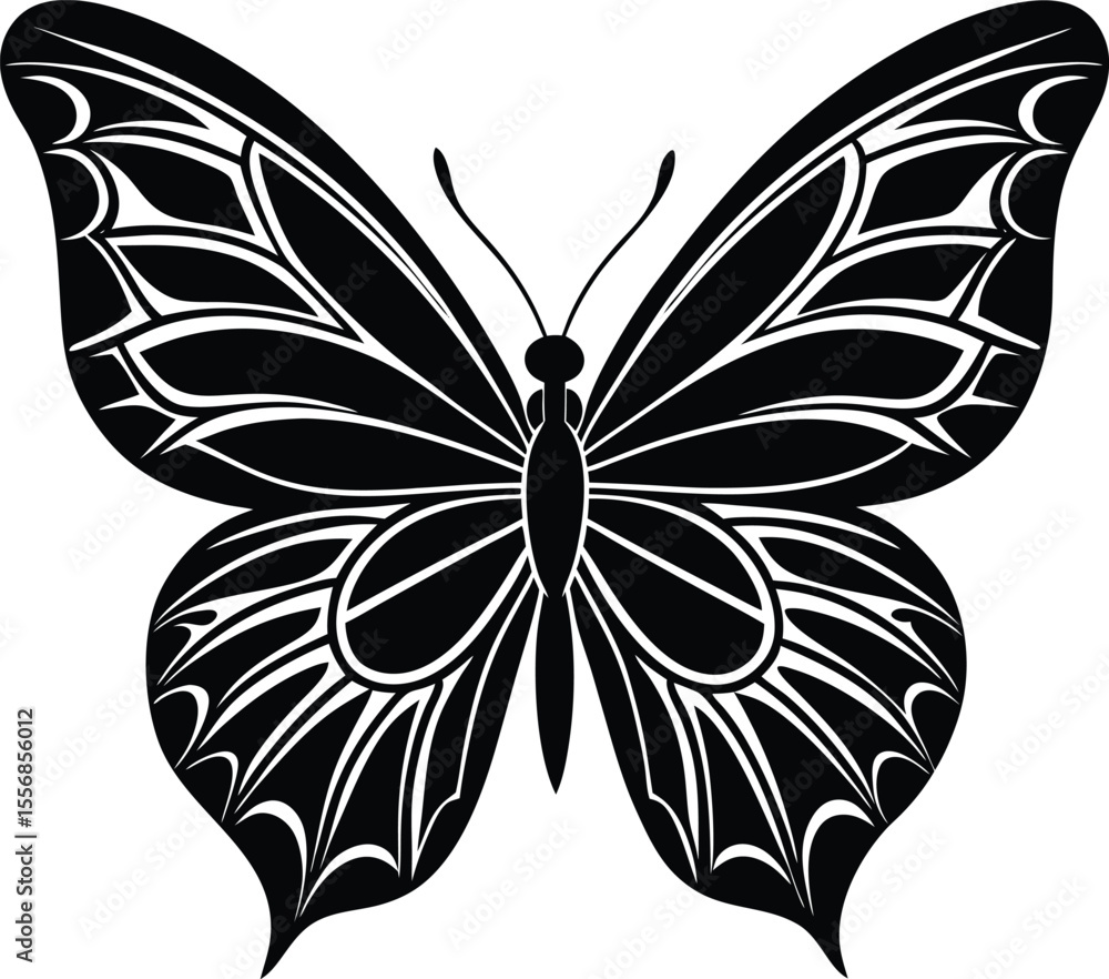 Poster vector art of butterfly with intricate wing patterns isolated on white background