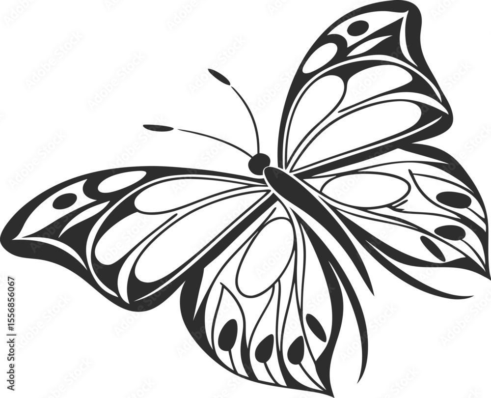 Poster vector art of butterfly with unique wing patterns isolated on white background