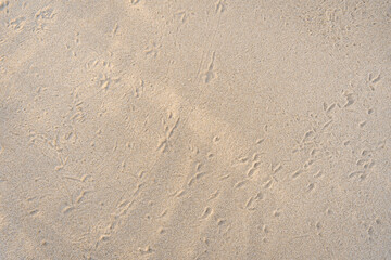Sand Textured Background