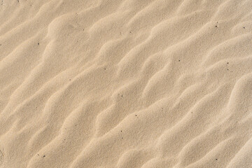 Wavy Sand Textured Background