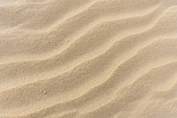 Yellow Wavy Sand Textured Background