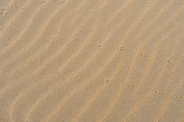 Wavy Sand Textured Background