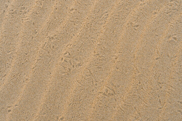Wavy Sand Textured Background
