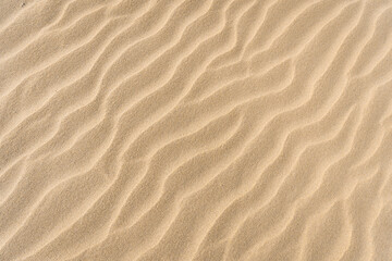 Yellow Wavy Sand Textured Background