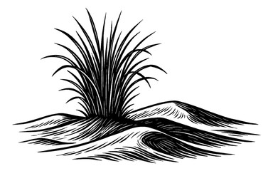 Obraz premium Illustration of Grass Growing on Sand Dunes in Black and White Engraved Style