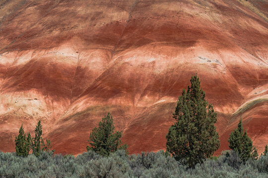 Colorful red painted hills caused by erosion, climate changes and volcanic activity in Eastern Oregon.