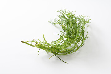 おかひじき　イメージ