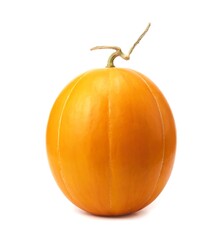 Orange cantaloupe melon smooth skin isolated on white background