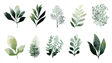 Watercolor Botanical Leaf and Plant  Set