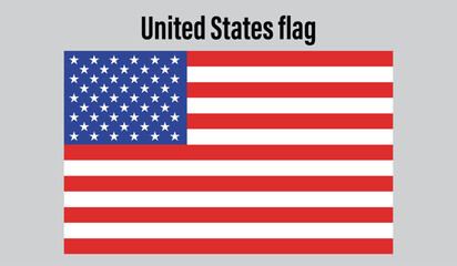 United States  Flag design digital vector illustration