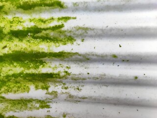 Moss Covered Corrugated Plastic with Natural Patterns