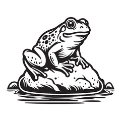 Frog on riverrrock vector illustration