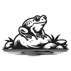 Frog on riverrrock vector illustration