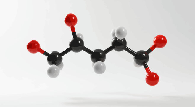Molecular structure of adipic acid used in the production of nylon polymers