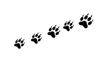 Bear paw prints in a row on a white background showcasing animal tracking design