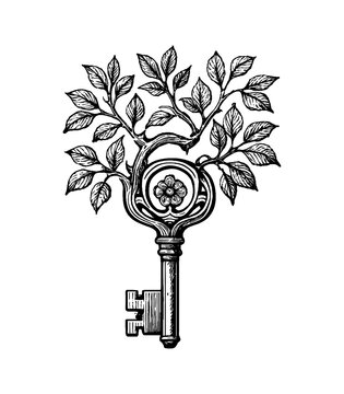 Vintage Key and Tree Branch Illustration in Black and White Engraved Style Design