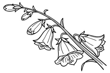 Foxglove Botanical Vector for Garden Prints