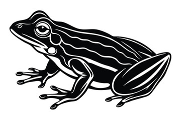 Detailed black and white depicts a frog in a stylized pose
