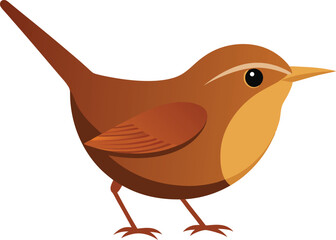 Beautiful wren bird close-up, small songbird perched on branch, detailed feathers, nature wildlife photography, forest bird, cute wren image for backgrounds, animal photo, birdwatching stock photo.