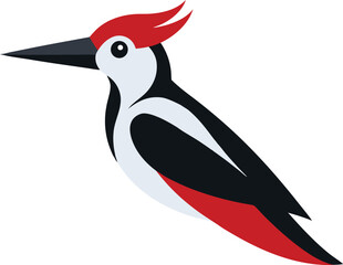 Colorful woodpecker perched on tree trunk in natural forest setting. Close-up bird photography for wildlife, nature, and ornithology content on Adobe Stock, Freepik, and microstock platforms.