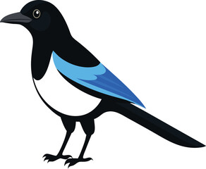 Beautiful magpie bird flying and perched, black and white magpie close-up, nature wildlife photography, common magpie in natural habitat, stunning magpie images for stock use.