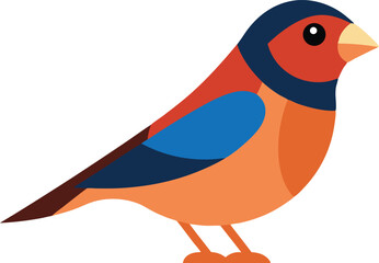 Beautiful finch bird close-up, vibrant feathers, small wild finch perched on branch, nature wildlife photography, colorful finch in natural habitat, detailed bird photo perfect for stock use.