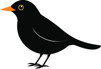 Blackbird perched on branch, detailed songbird close-up, nature wildlife photography, isolated blackbird image, common blackbird birdwatching photo for stock use, avian species background.