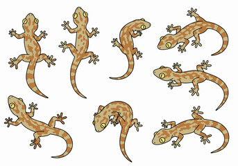 Cute Cartoon Geckos Illustration Set in Various Poses on White Background