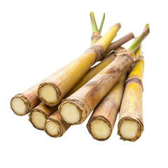  sugarcane [Transparent Background PNG].