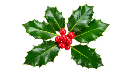 A sprig, three leaves, of green holly and red berries for Christmas decoration isolated against a transparent background.