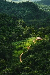 Remote Jungle Hut with Winding Path.