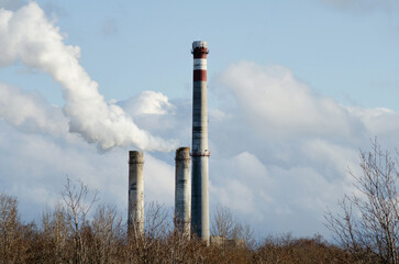 Tall chimneys of cement plant over scrub.