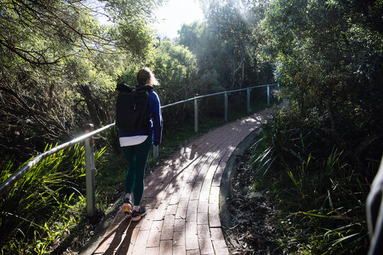 Hiker enjoying a peaceful walk on a path through a sunny forest