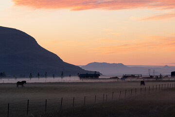 Lights and mists of the midnight sun