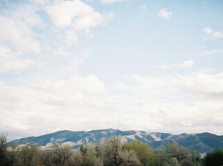 Tree-lined valley with mountains under a bright, clouded sky