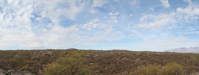 Panorama of Saguaro National Park with big sky