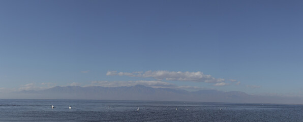 Panorama of Salton Sea with Birds