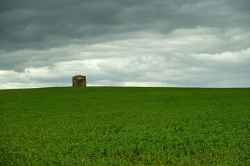 Green field with an old windmill and stormy clouds in background