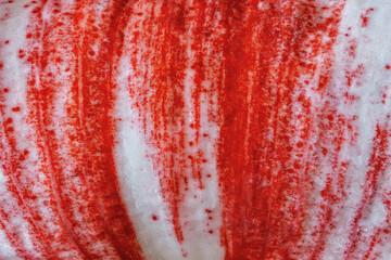 A close-up of an amaryllis flower showing off its beauty in natural light