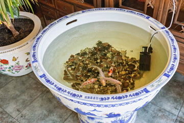 Decorative aquarium filled with aquatic animals and decorative items