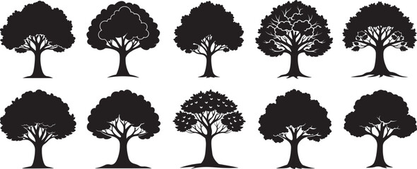 set of tree silhouette, black and white silhouette, vector and illustration