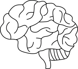 Detailed Human Brain Anatomy Outline Vector