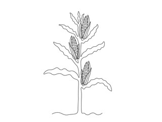 Abstract corn bush in the garden,on the farm,agriculture,cottage. continuous single one line art drawing sketch, logo
