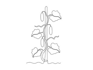 Abstract cucumber bush in the garden,on the farm,agriculture,cottage. continuous single one line art drawing sketch, logo