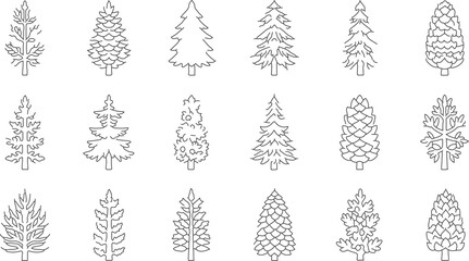  Conifers (Cone-bearing Trees) icons
