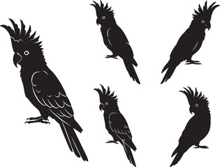 Obraz premium Parrot Bird Icon Silhouette on White Background vector illustration