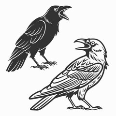 Obraz premium Black crows with open beaks on white background raven bird