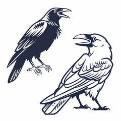 Obraz premium Dark birds with open beaks on white background crow raven