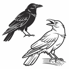 Obraz premium Black and white crow raven icons on white background bird