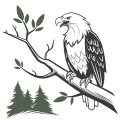 Majestic eagle perched on a branch with forest trees bird